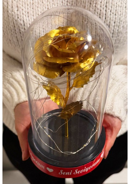 Sevgiliye Ledli Fanus Içinde Gold Sonsuzluk Gülü Seni Seviyorum Yazılı Sevgiliye Özel Kız Arkadaşa modelleri