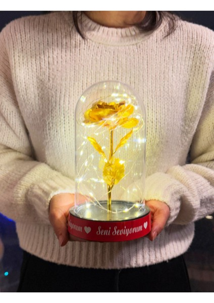 Sevgiliye Ledli Fanus Içinde Gold Sonsuzluk Gülü Seni Seviyorum Yazılı Sevgiliye Özel Kız Arkadaşa fırsatları