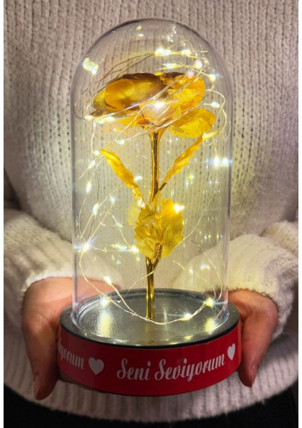 Sevgiliye Ledli Fanus Içinde Gold Sonsuzluk Gülü Seni Seviyorum Yazılı Sevgiliye Özel Kız Arkadaşa indirimleri