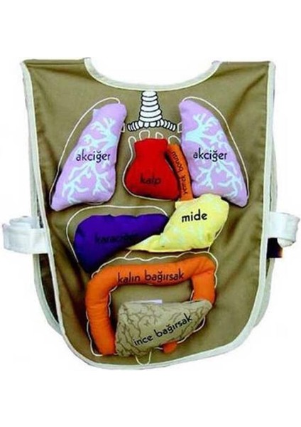 AND-5011 ORGAN ÖNLÜĞÜ fiyatları