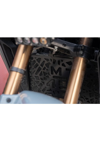 Cf Moto 450 mt Radyatör Koruma modelleri