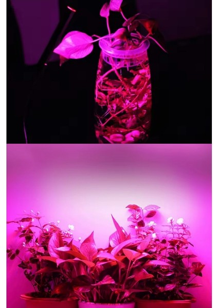 Kasalı Şeffaf Kapaklı Grow LED 12V 5730 Full Spectrum Bitki Yetiştirme Ledi 25-50-75-100CM fırsatları