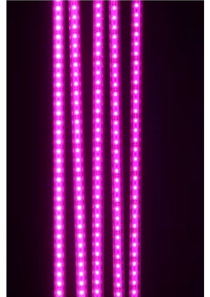 Kasalı Şeffaf Kapaklı Grow LED 12V 5630 Full Spectrum Bitki Yetiştirme Ledi 25-50-75-100CM