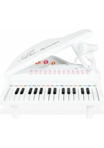 BAO-1504B 31 Tuşlu Mini Piano Mp3 -Vardem