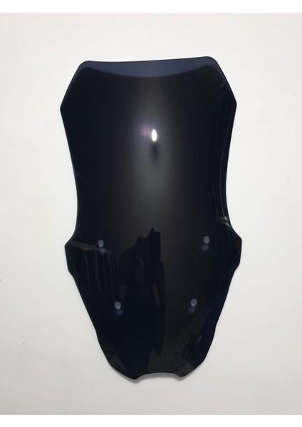 Rks Grace Pro Siperlik Ön Cam 2023-2025 Model 57CM Siyah Renkli 4mm