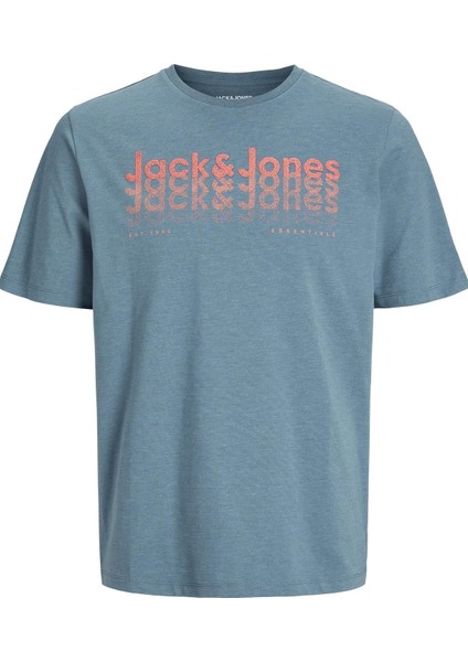 Jjtex Tee Ss Crew Neck Bulut modelleri