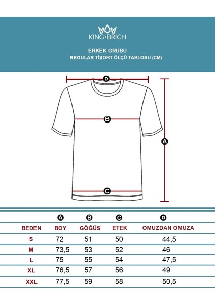 V Yaka Düz Basic Regular Kalıp Erkek Tişört indirimleri