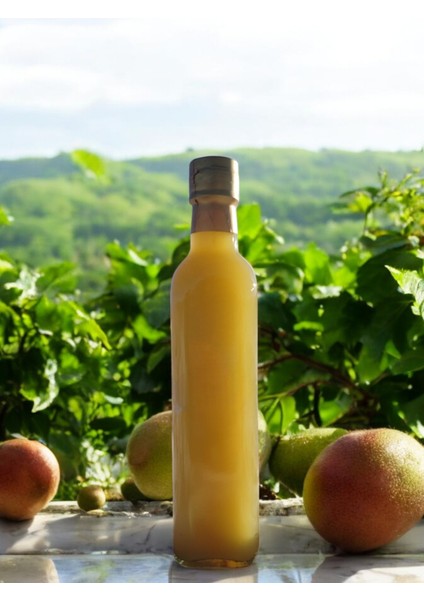 Doğal Ev Yapımı Kivi Sirkesi 500 ml
