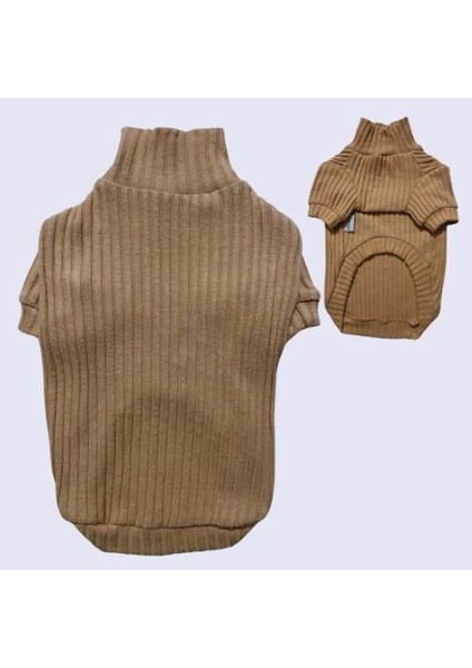 Bej Basic Küçük Irk Köpek Sweatshirt'ü modelleri
