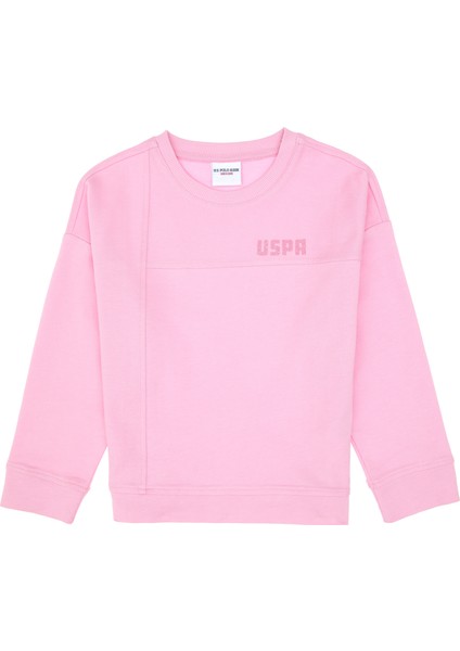 Kız Çocuk Pembe Sweatshirt 50296380-VR041