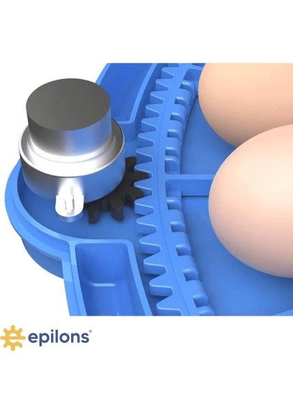 80 Yumurta Kapasiteli Otomatik Çiftlik Kuluçka Makinesi : Yumurta, Bıldırcın, Civciv ve Kanatlılar İçin Mz-80 fırsatları