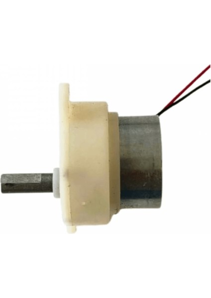 2 Adet Kuluçka Makinesi Mini Viyol Çevirme Motoru 12 Volt