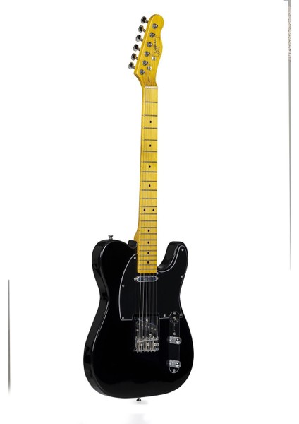 ZTL300 Elektro Gitar