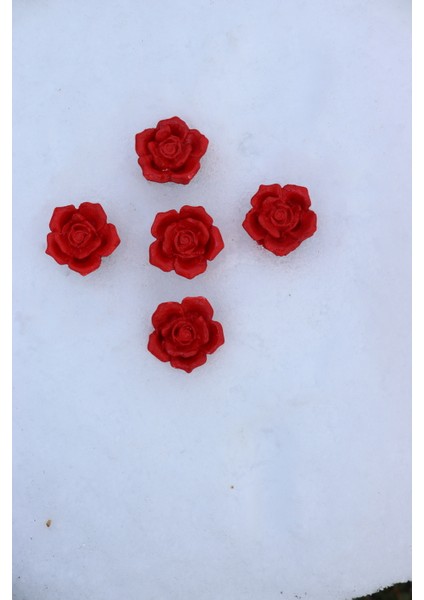 5’li Kırmızı Gül Magneti - Buzdolabı Magneti - Buzdolabı Süsü-Mıknatıslı Fotoğraf Tutucu Magnet fiyatları
