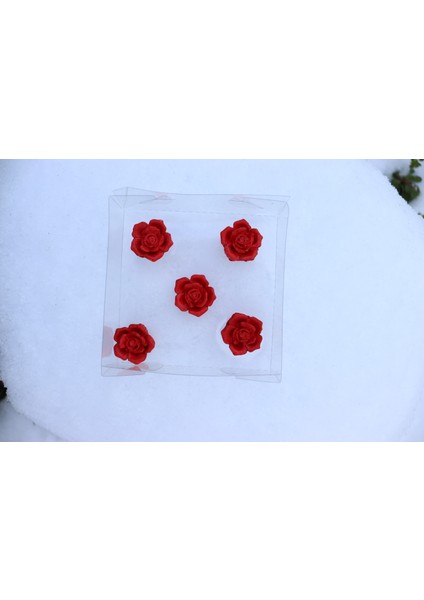 5’li Kırmızı Gül Magneti - Buzdolabı Magneti - Buzdolabı Süsü-Mıknatıslı Fotoğraf Tutucu Magnet modelleri