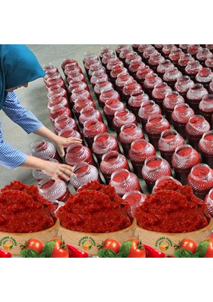 Naturel Biber Salçası 2 Li Paket fırsatları