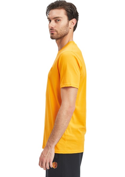 Galatasaray Erkek 3`lü Karışık Basic T-Shirt E241273 indirimleri