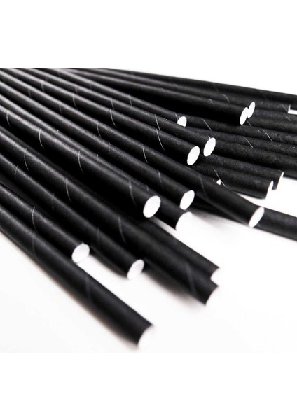 Siyah Karton Pipet 25 Adet