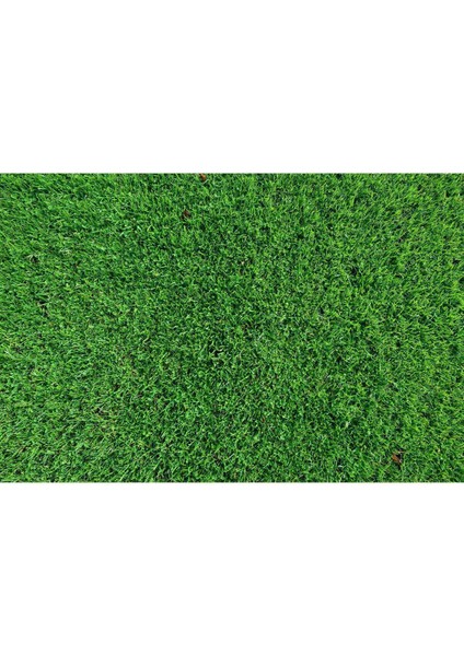 Çim Gübresi Çiçek Çoşturan 1 kg Çim Coşturan Bitki Coşturan Bitki Geliştirici modelleri