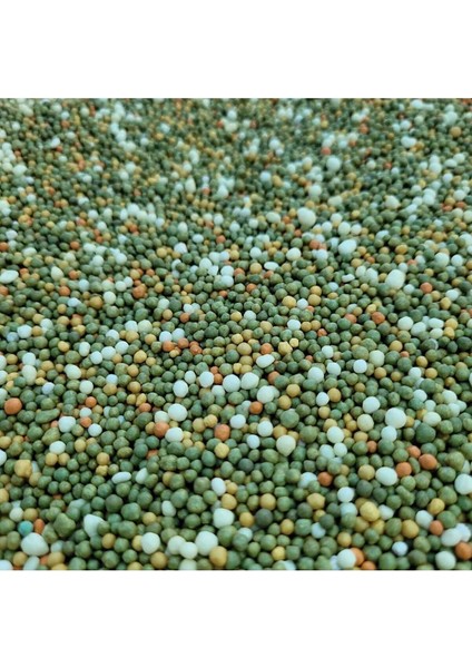 Yavaş Salınımlı Akıllı Gübre 8-9 Aylık 100 Gram