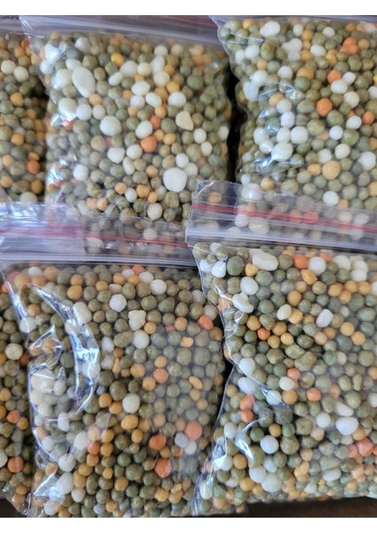 Yavaş Salınımlı Akıllı Gübre 8-9 Aylık 100 Gram