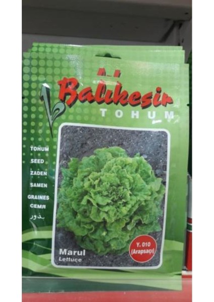Marul Tohumu (Y-010 Arapsaçı) 25 gr