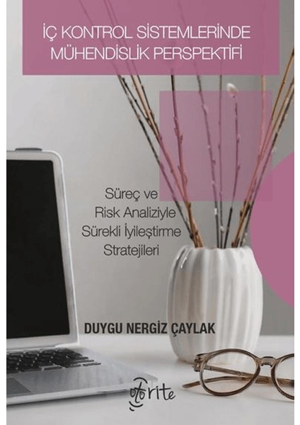 İç Kontrol Sistemlerinde Mühendislik Perspektifi - Duygu Nergiz Çaylak