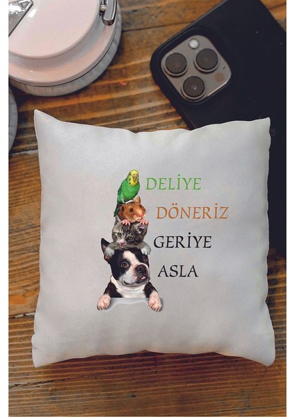 Deliye Döneriz Geriye Asla Tasarımlı Dekoratif Mini Yastık fiyatları