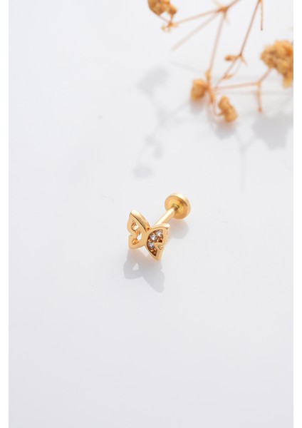 14 Ayar Altın Tragus Küpe Kelebek Vidalı