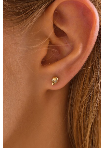 14 Ayar Altın Tragus Küpe Kuru Kafa Vidalı