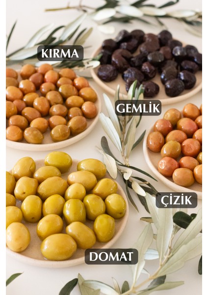 Domat Çeşidi Bütün Yeşil Zeytin Kokteyl 400 gr Cam Kavanoz