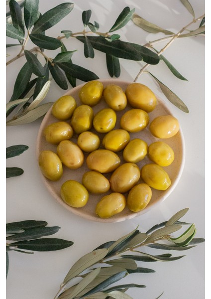 Domat Çeşidi Bütün Yeşil Zeytin (Kokteyl) 640 gr Cam Kavanoz