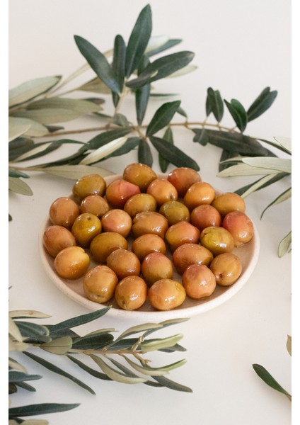 Doğal Ayvalık Çeşidi Kırma Yeşil Zeytin 400 gr Cam Kavanoz