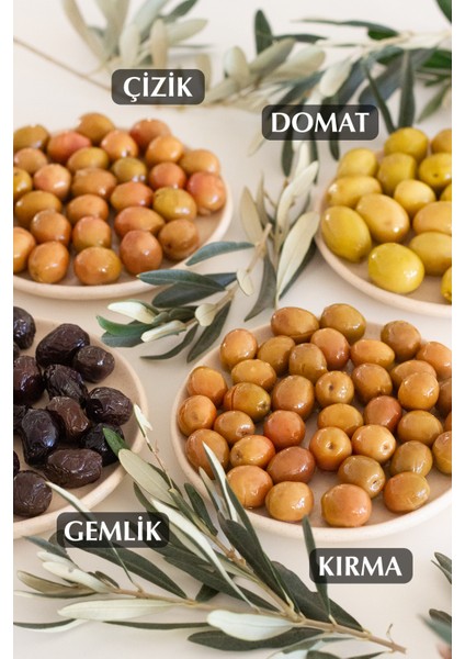 Doğal Ayvalık Çeşidi Kırma Yeşil Zeytin 400 gr Cam Kavanoz