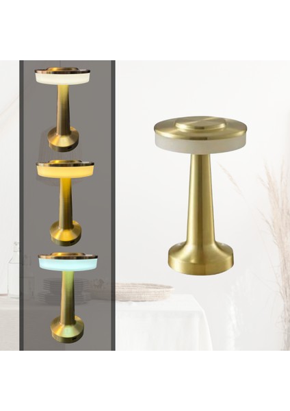 Horoz 050-002-0001 2W Şarjlı Gold Masa Lambası - 3 Renk Işık Modu fiyatları