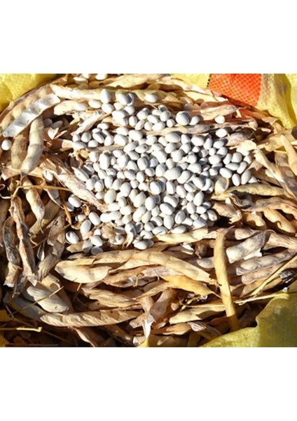 Akkuş Şeker Fasulye 1 kg