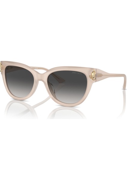 Jimmy Choo Güneş Gözlüğü JC5018U 54 50258G