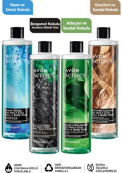 Nane Deniz Adaçayı Sandal Greyfurt ve Bergamot Kolu Erkek Duş Jeli Paketi fiyatları