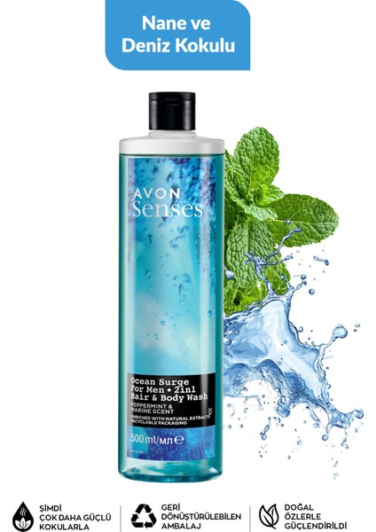 Nane Deniz Adaçayı Sandal Greyfurt ve Bergamot Kolu Erkek Duş Jeli Paketi modelleri