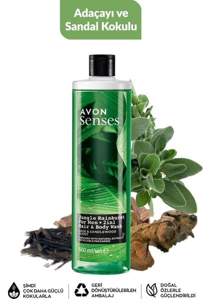 Nane Deniz Adaçayı Sandal Greyfurt ve Bergamot Kolu Erkek Duş Jeli Paketi fırsatları