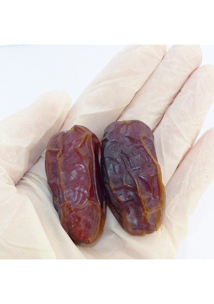 Hicazi Hudri Medine Hurma (500GR) fiyatları