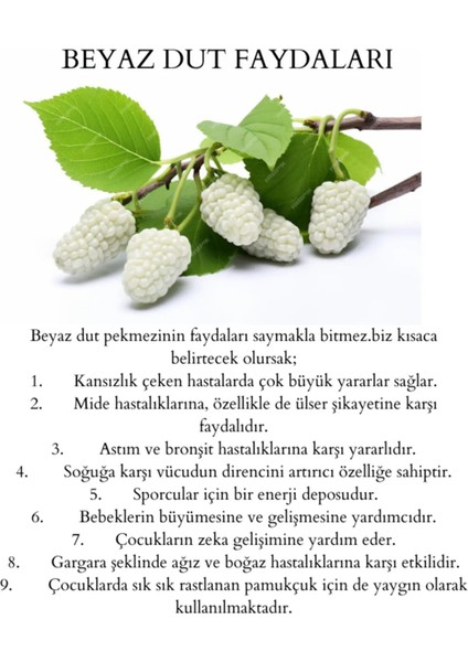 Doğal Şeker İlavesiz Dut Pekmezi 800 gr indirimleri