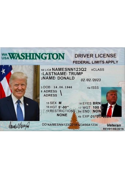 Donald Trump Parodi Ehliyet/kimlik Kartı (Hediye ve Şaka Amaçlıdır)