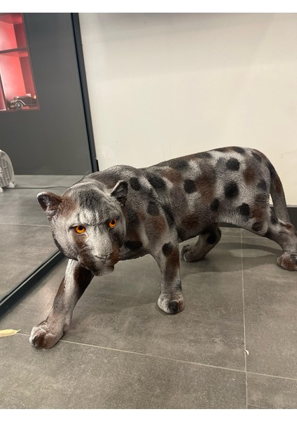 Panter
