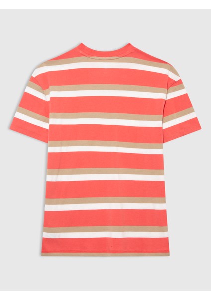 Erkek Çocuk Çok Renkli Desenli Jersey T-Shirt modelleri