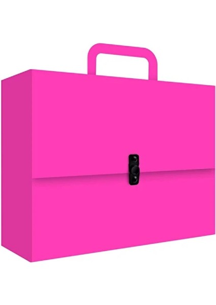 Kutu Klasör Renkli Kulplu (3202RK)