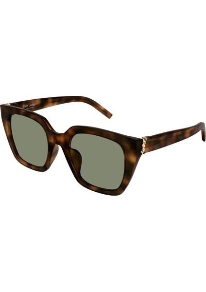 Saint Laurent Paris SL M143 003 51-23 Kadın Güneş Gözlüğü – Kahverengi Asetat Çerçeve, Yeşil Mat Cam, UV400