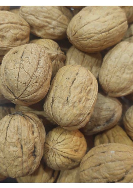 Kabuklu Ceviz 2 kg İnce Kabuk %40 Randıman Yayla Ürünü