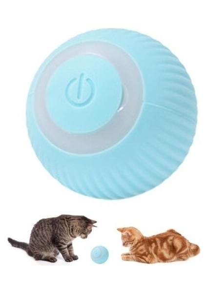 İnteraktif Kedi Köpek Şarjlı Oyun Topu indirimleri