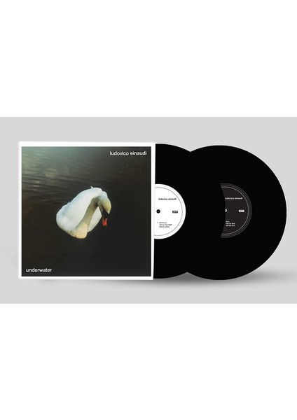 Ludovico Einaudi / Underwater(2lp)(Plak)
